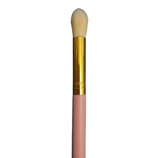 IC06 Highlight Brush