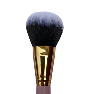 IC01 Powder Brush