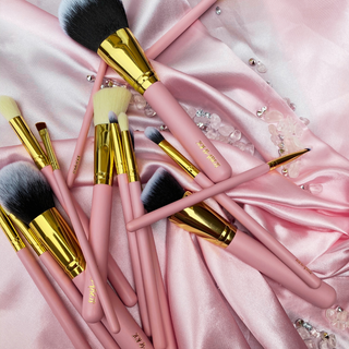 10 Piece Essential Brushes