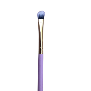 IC09 Lip Brush